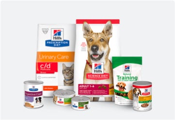 Descubre nuestros productos